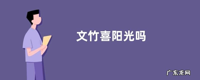 文竹喜阳光吗