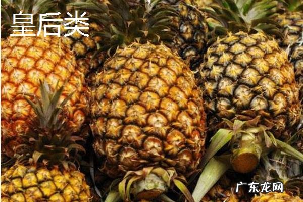 菠萝产地在哪里,附菠萝的种类