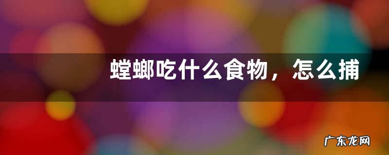 螳螂吃什么食物,怎么捕食,寿命有多长?