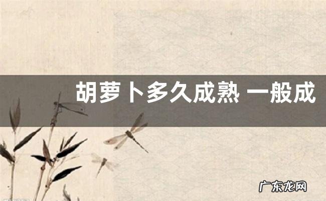 胡萝卜多久成熟 一般成熟期多少天