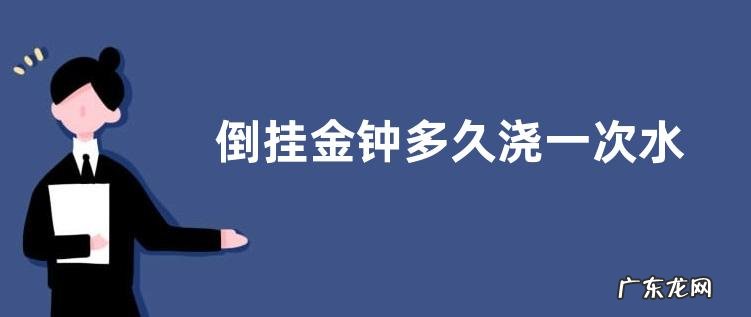 倒挂金钟多久浇一次水