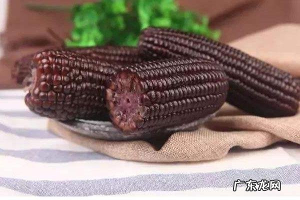 黑玉米产地在哪里,附黑玉米的营养价值