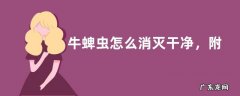 牛蜱虫怎么消灭干净，附牛蜱虫的种类