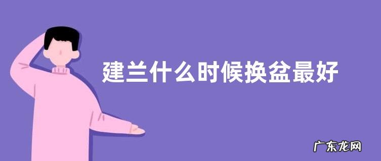 建兰什么时候换盆最好 换盆时间和方法