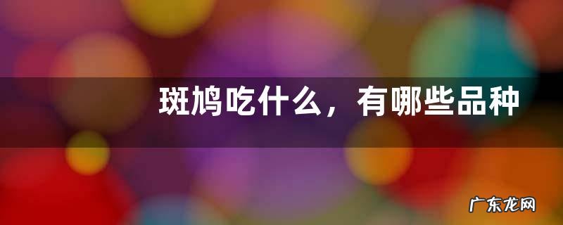 斑鸠吃什么,有哪些品种