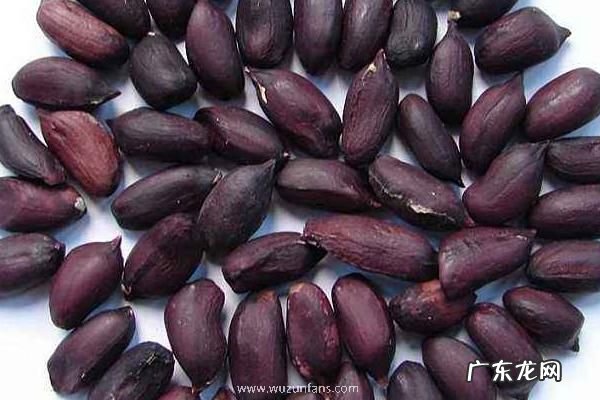 黑花生产地在什么地方,有什么价值