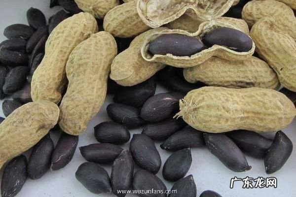 黑花生产地在什么地方,有什么价值