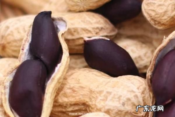 黑花生产地在什么地方,有什么价值