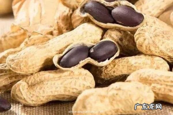 黑花生产地在什么地方,有什么价值