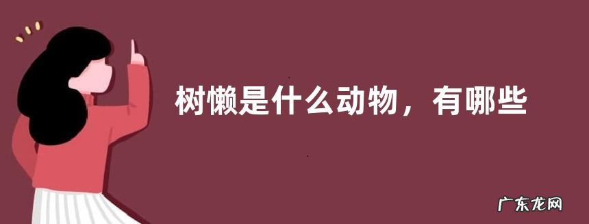 树懒是什么动物,有哪些特征,主要分布在哪里