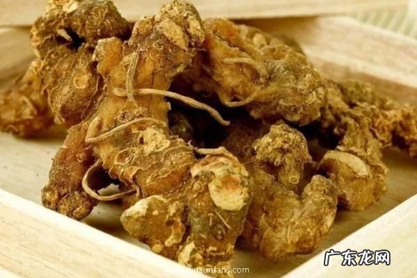 黄精产地在哪里,附黄精的形态特征