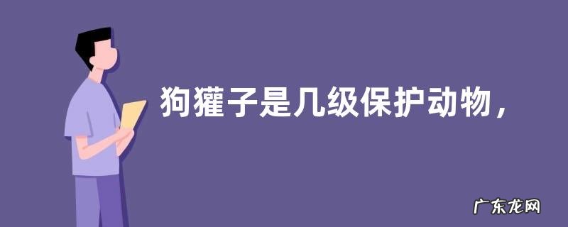 狗獾子是几级保护动物,它的食物有哪些