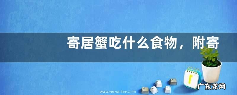 寄居蟹吃什么食物,附寄居蟹的生活习性