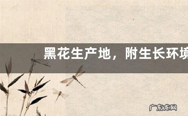 黑花生产地,附生长环境和营养价值