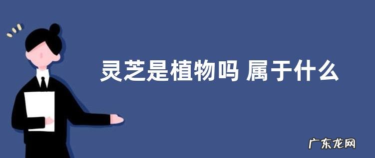 灵芝是植物吗 属于什么类植物