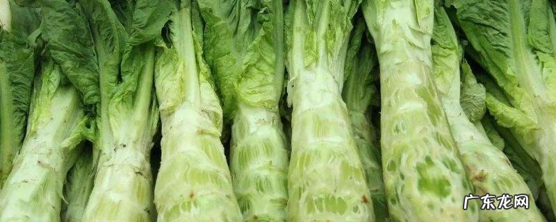 莴笋产地在什么地方,有什么营养