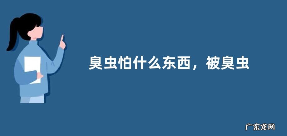 臭虫怕什么东西,被臭虫咬后怎么处理