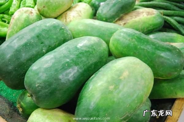 冬瓜产地在哪里，并介绍它的产地环境