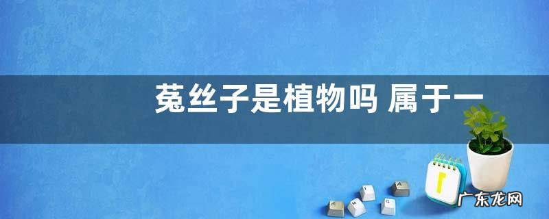 菟丝子是植物吗 属于一年生寄生植物