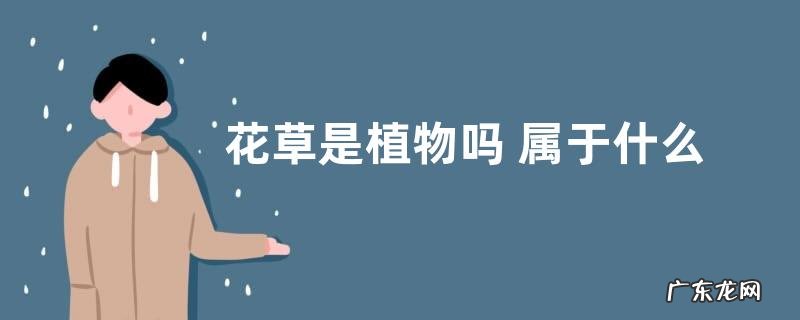 花草是植物吗 属于什么植物