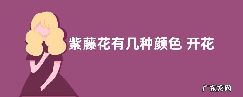 图 紫藤花有几种颜色 开花有什么颜色