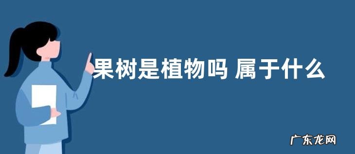 果树是植物吗 属于什么类型植物