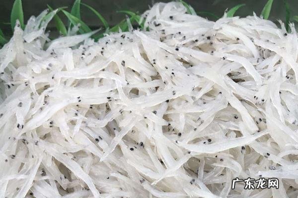 银鱼产地在哪里,种类有哪些