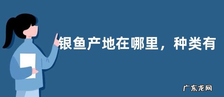 银鱼产地在哪里,种类有哪些