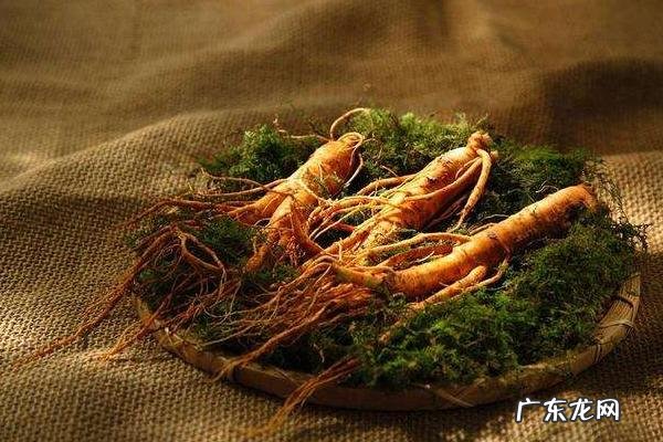 人参的雅称是什么,附人参的分类