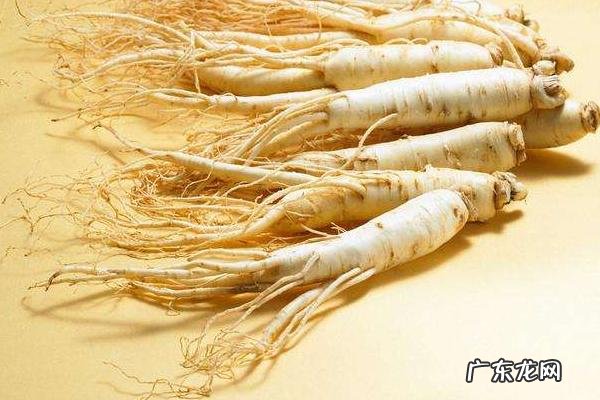 人参的雅称是什么,附人参的分类