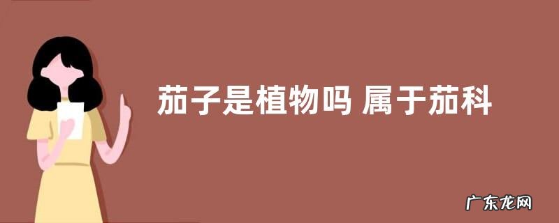 茄子是植物吗 属于茄科一年生草本植物