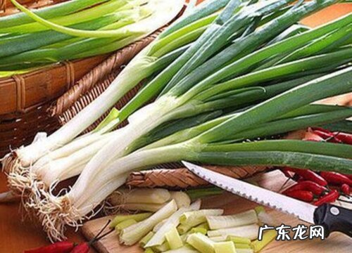 葱是植物吗 属于百合科的多年生草本植物