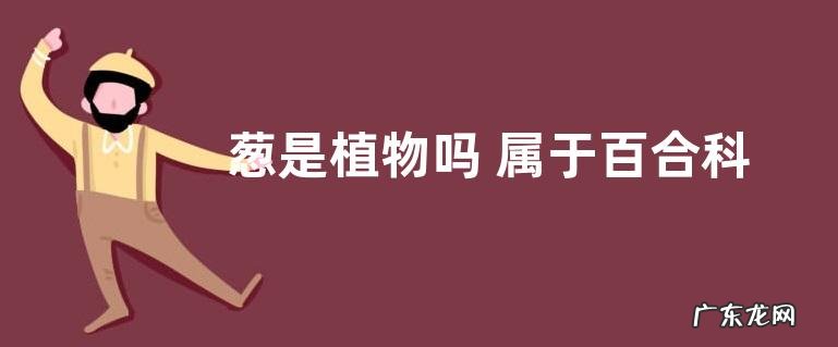 葱是植物吗 属于百合科的多年生草本植物