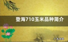 登海710玉米品种简介