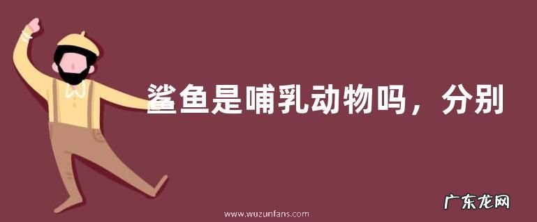 鲨鱼是哺乳动物吗，分别介绍哺乳动物和卵生动物的特征