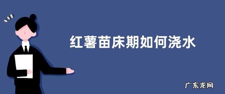 红薯苗床期如何浇水