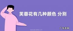 芙蓉花有几种颜色 分别是什么颜色的花