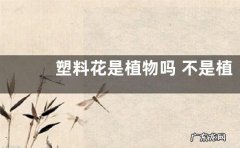 塑料花是植物吗 不是植物是假花