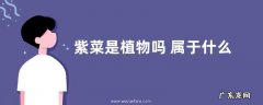 紫菜是植物吗 属于什么类植物