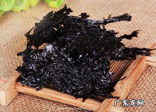 紫菜是植物吗 属于什么类植物