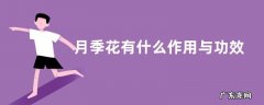 月季花有什么作用与功效 月季花能吃吗食用方法