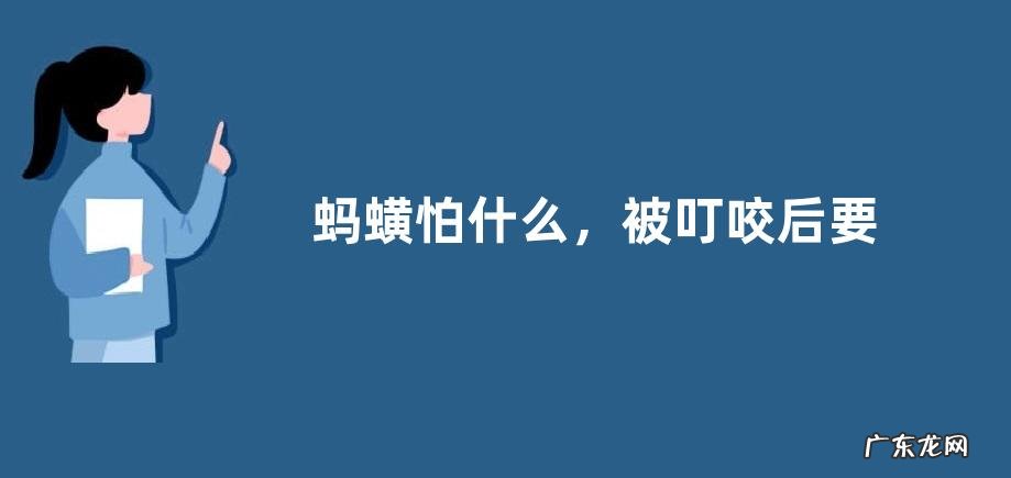 蚂蟥怕什么，被叮咬后要对伤口进行消毒