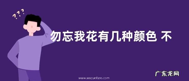 勿忘我花有几种颜色 不同颜色花语与寓意