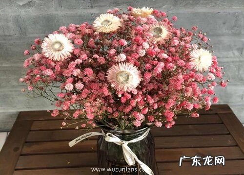 勿忘我花有几种颜色 不同颜色花语与寓意