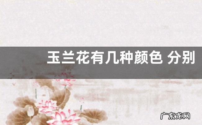图片 玉兰花有几种颜色 分别是什么颜色