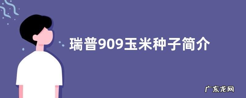 瑞普909玉米种子简介