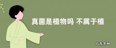 真菌是植物吗 不属于植物界的原因