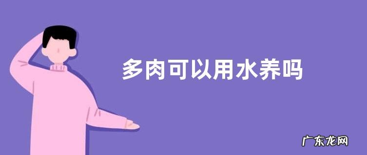 多肉可以用水养吗