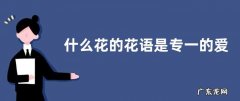 什么花的花语是专一的爱