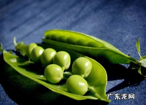 青豆什么时候播种